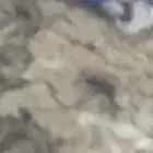 هايلوكس