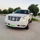 اسكاليد 2013 الجميح طويل للبيع