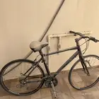 سيكل تريك Trek