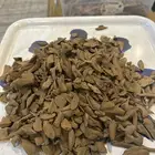 عود سوبر مرتفع ودبل موروكي اصقون طبيعي