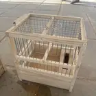 شبك كناري جديد خشب طبيعي للبيع