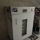 فقاسة المحمدية