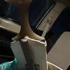 للبيع