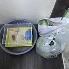هامستر روسي