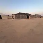 بيت شعر الأماني الأصلي نظيف جدا