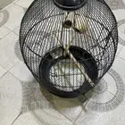 قفص للبيع ببريدة