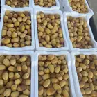 إخلاص الحوطة - إخلاص الافلاج
