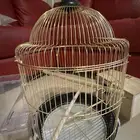 قفص طيور مع استاند