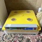 للبيع فقاسه