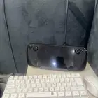 ديك ستيم