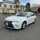 2017 قمة النظافة