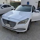 جينسس 17