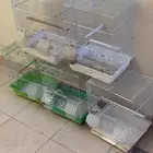 أقفاص نظيفه جدا