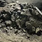 للبيع  سماد بقري عضوي طبيعي 100