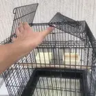 قفص بغبغاء