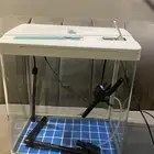 حوض سمك