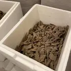 عود جاوي محسن بيور