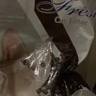 قطو