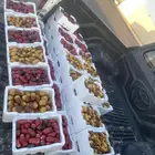 تمر رطب فاخر