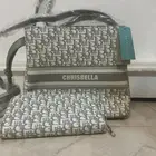 شنط