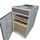 مطلوب فقاسة بيض