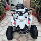 دباب سويدي