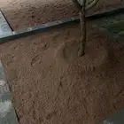 بطحا حايل خياش