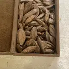 عود مروكي محسن
