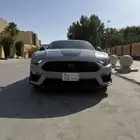 فورد موستنيق ماك ون Mach1