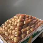 تمور فاخره