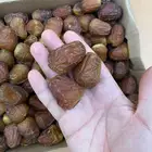 تمر سكري وصقعي