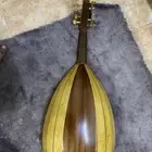 عود مصري للبيع على السوم