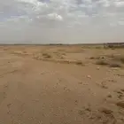 للبيع مزرعه ( مريفق) المساحه 136824 مميزه