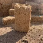 تبن برا