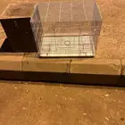 قفص 601 ببياضه كبيره