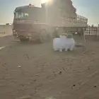 راس البي موديل 90 الحجم. 17 35 احسن حجم المطلوب معه جوانبه