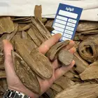 صفايح وصكوك واقلام مروكي فاخرة (نقوة)