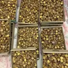رطب سكري فاخر كميه محدوده