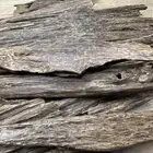 عود هندي مستوى عالي