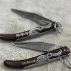 اوكابيات افريقية