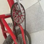 كوبرا مقاس 16