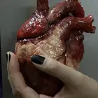 natural looking artificial heart model