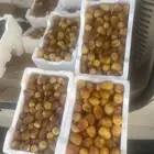 تمر