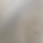 داغور حري