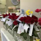 ورد سنجل مع البوكسات