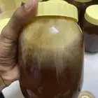 عسل سدر خالي من التغذية