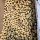 تمر قسب لذيذ ونادر