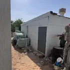 بريده