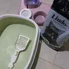 اغراض قطط استعمال واحد فقط