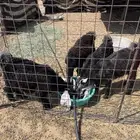 جفرات عوارض للبيع